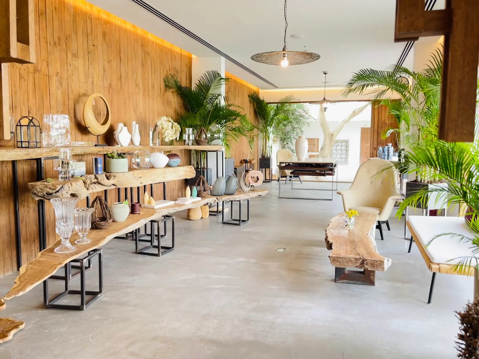 Inside the Wud showroom: timber walls, live-edge display tables, vases and tall palms