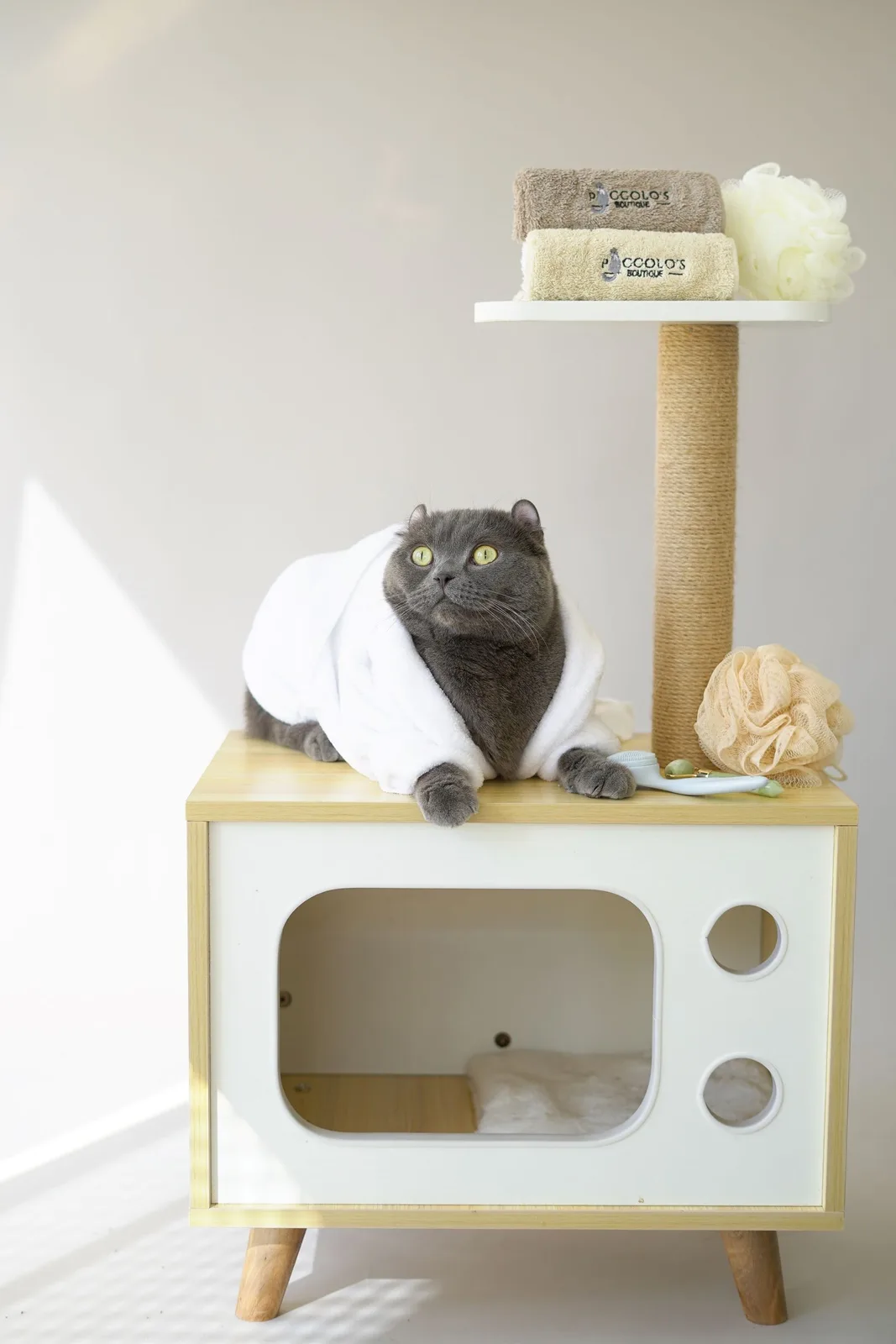 A retro television-style pet house with a cat in a robe on top