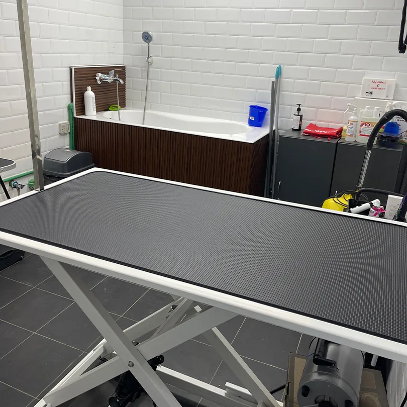 Grooming room at Luxury Pets Grooming with a height-adjustable table, bath and professional dryers