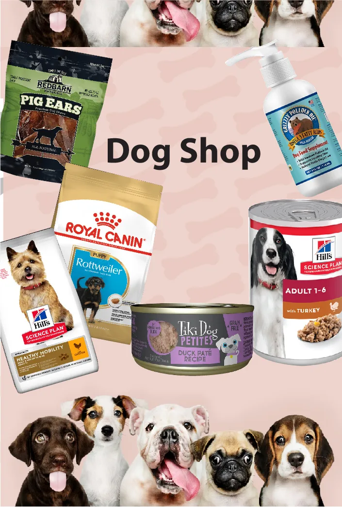 Dog food, treats and supplements for dogs