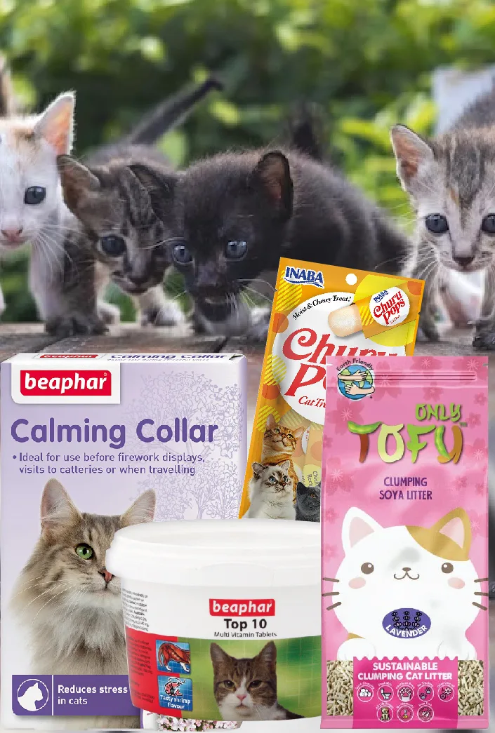 Cat food, litter and treats for cats and kittens