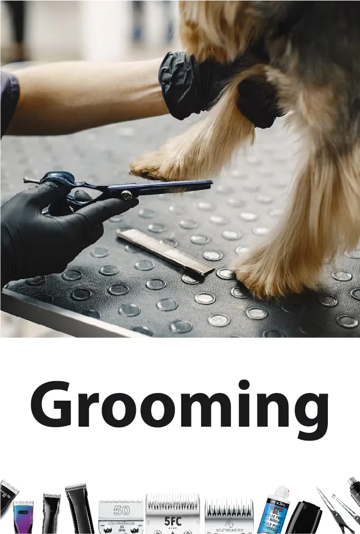 Pet grooming at Pet Corner — clippers, scissors and grooming tools