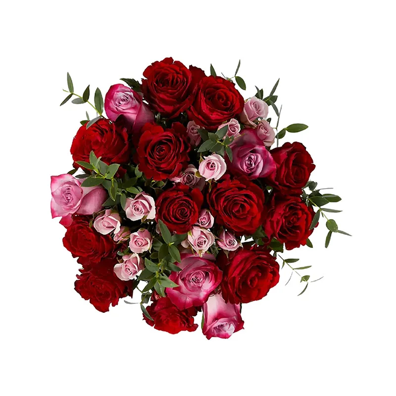 Overhead view of red and pink roses