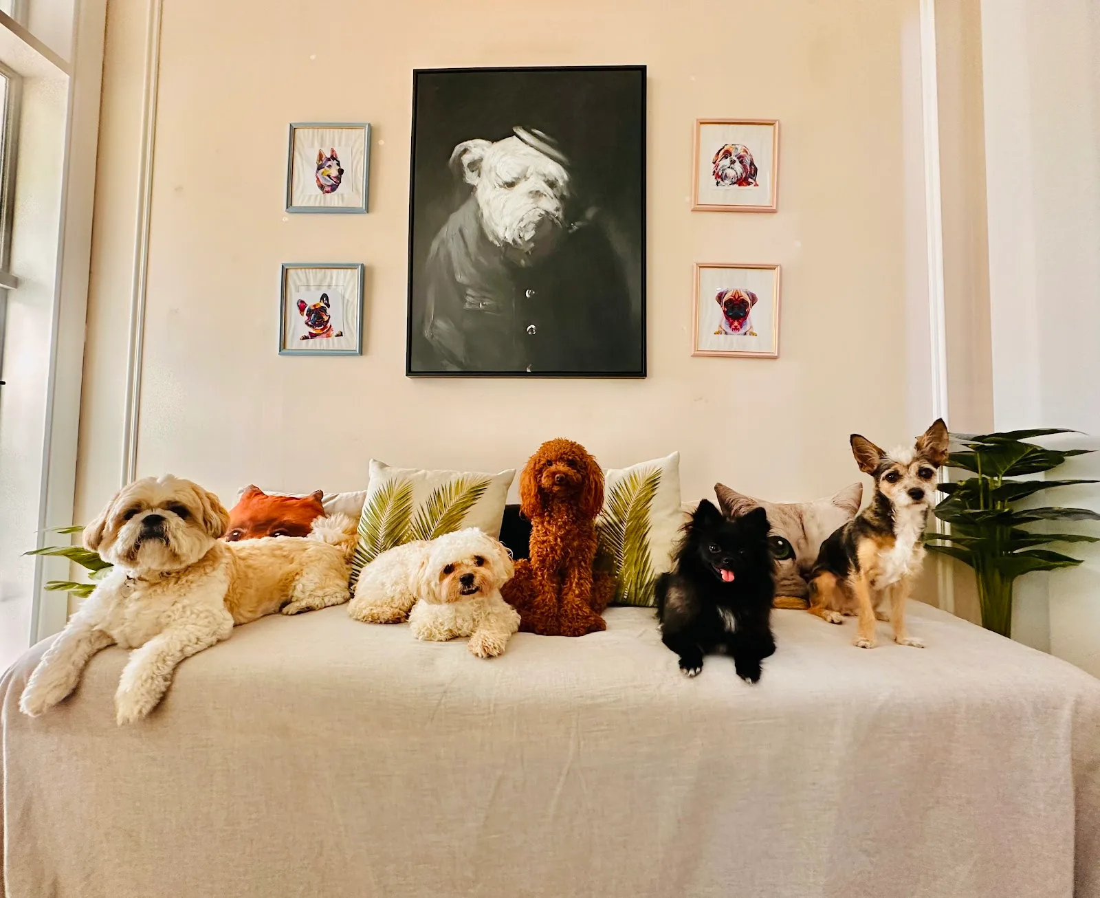 A group of small dogs and a cat lounging together on a sofa in the Unleash daycare lounge