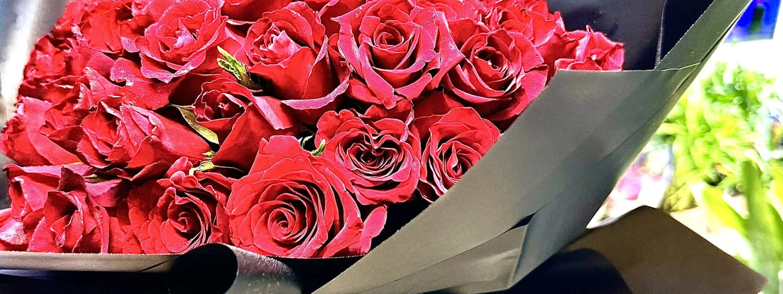 Close-up of red roses wrapped in grey paper