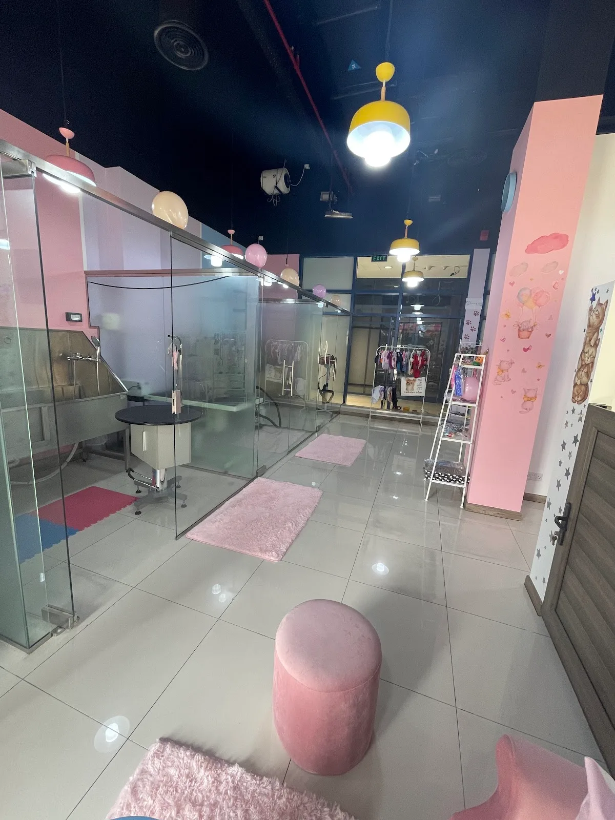 The bright, pink-and-glass interior of the Celine & Paws grooming salon