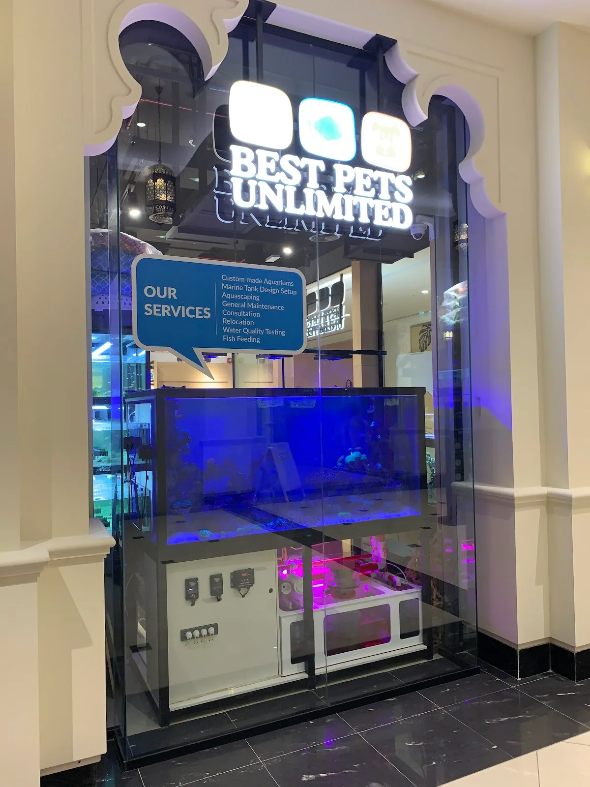 Custom marine aquarium display inside Best Pets Unlimited
