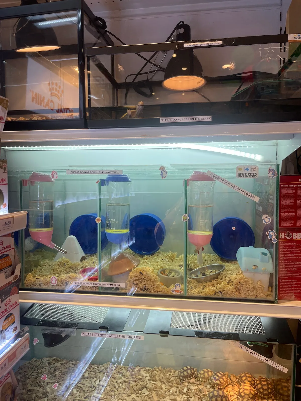 Small-animal habitats with hamsters and turtles at Best Pets Unlimited