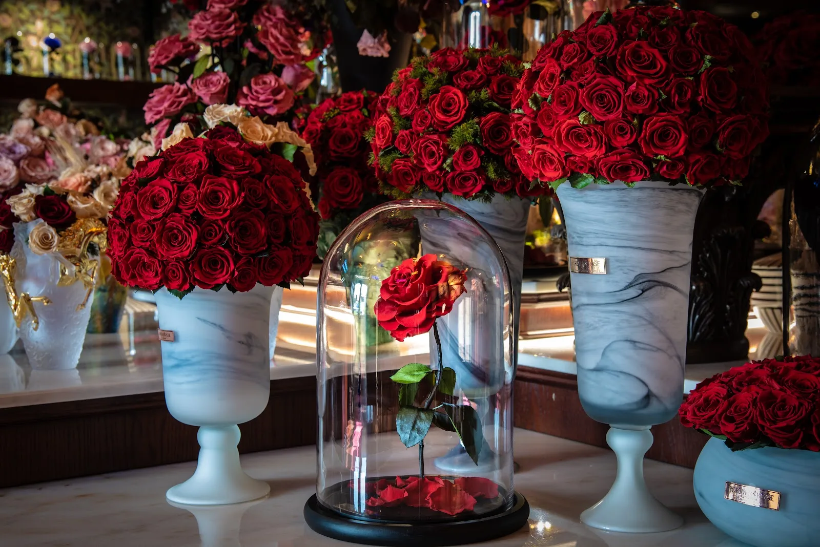 Red roses in marble urns surrounding a glass-domed rose