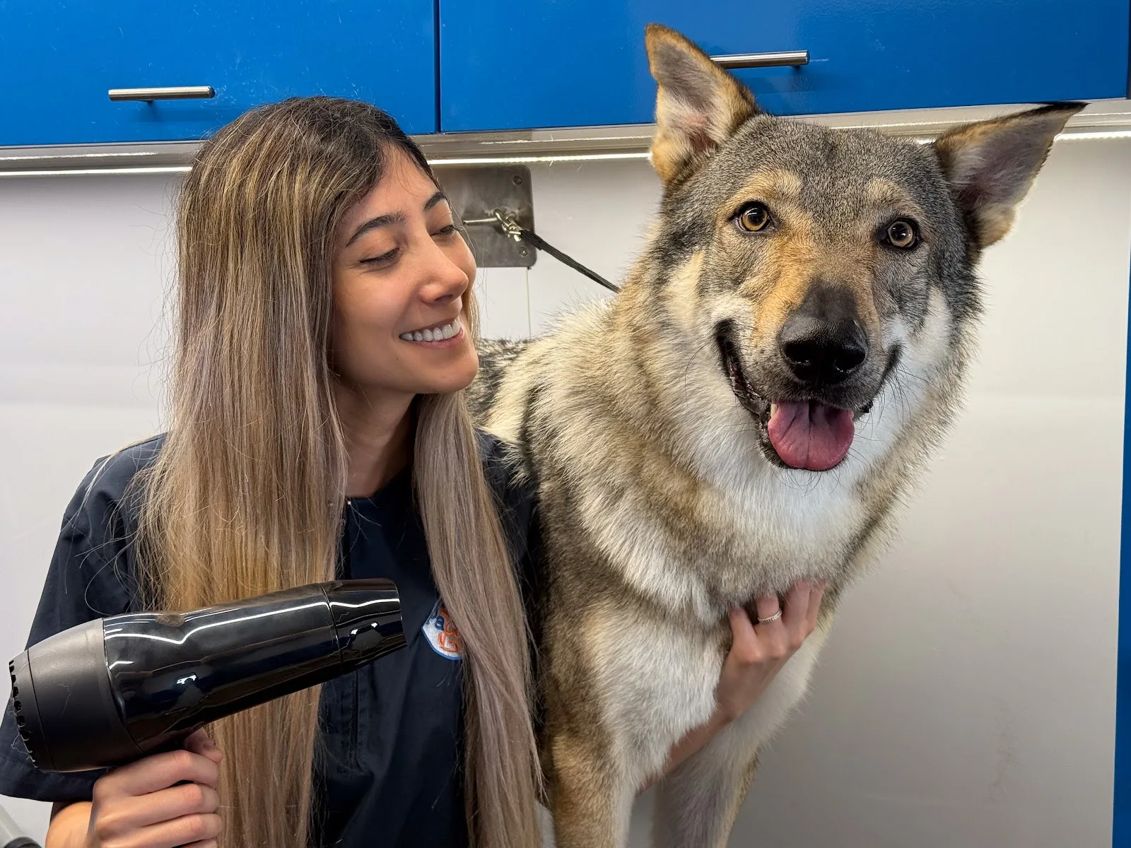 A Pretty Paws groomer blow-drying a relaxed, happy dog