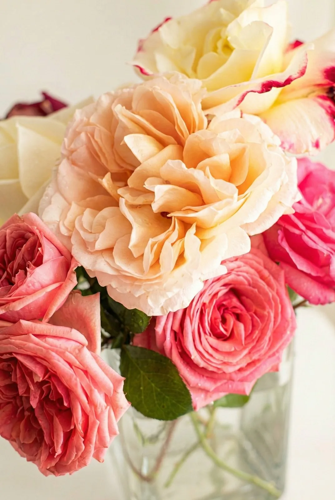 Close-up of peach and pink garden roses in a glass vase
