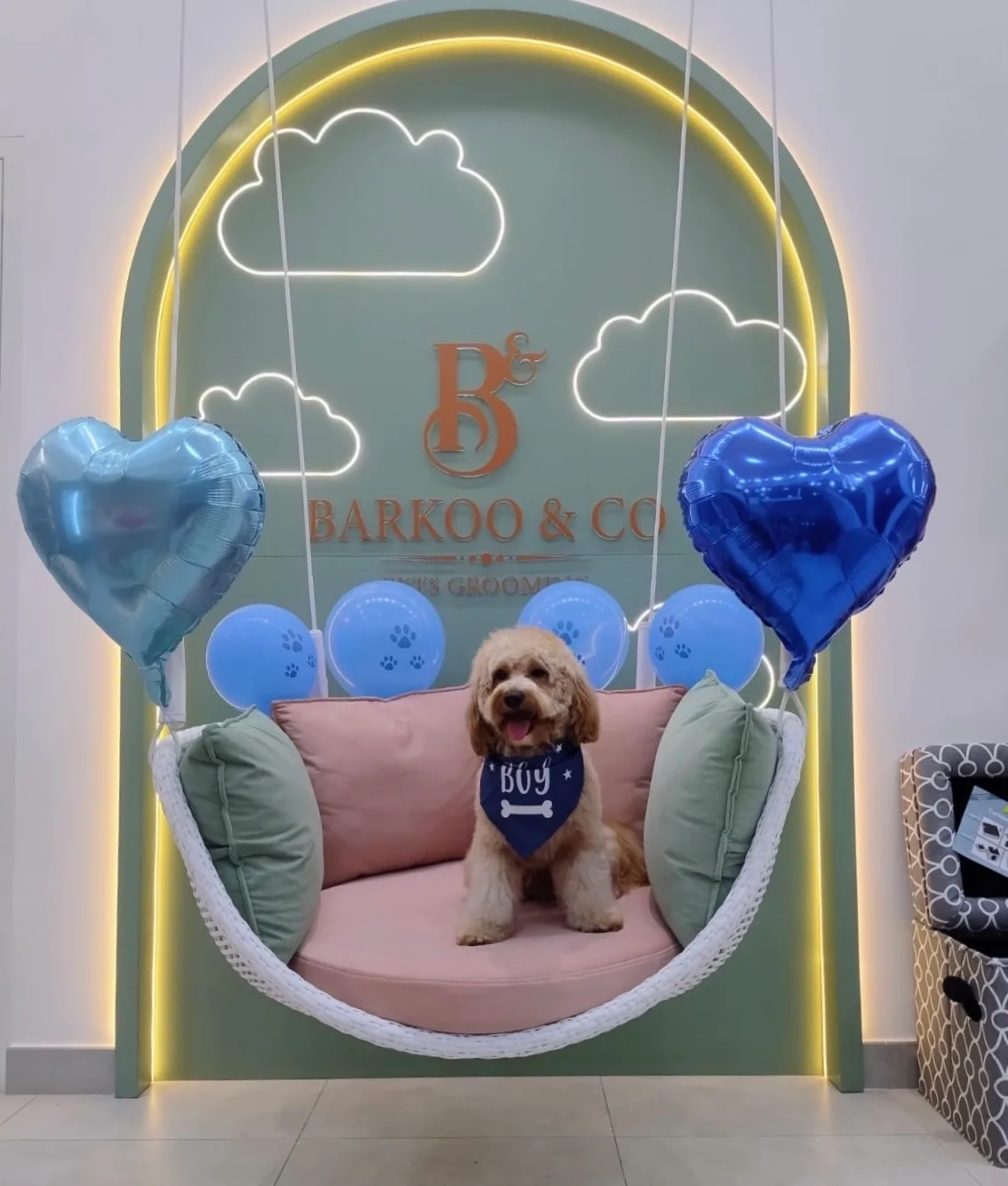 A dog on the swing surrounded by balloons