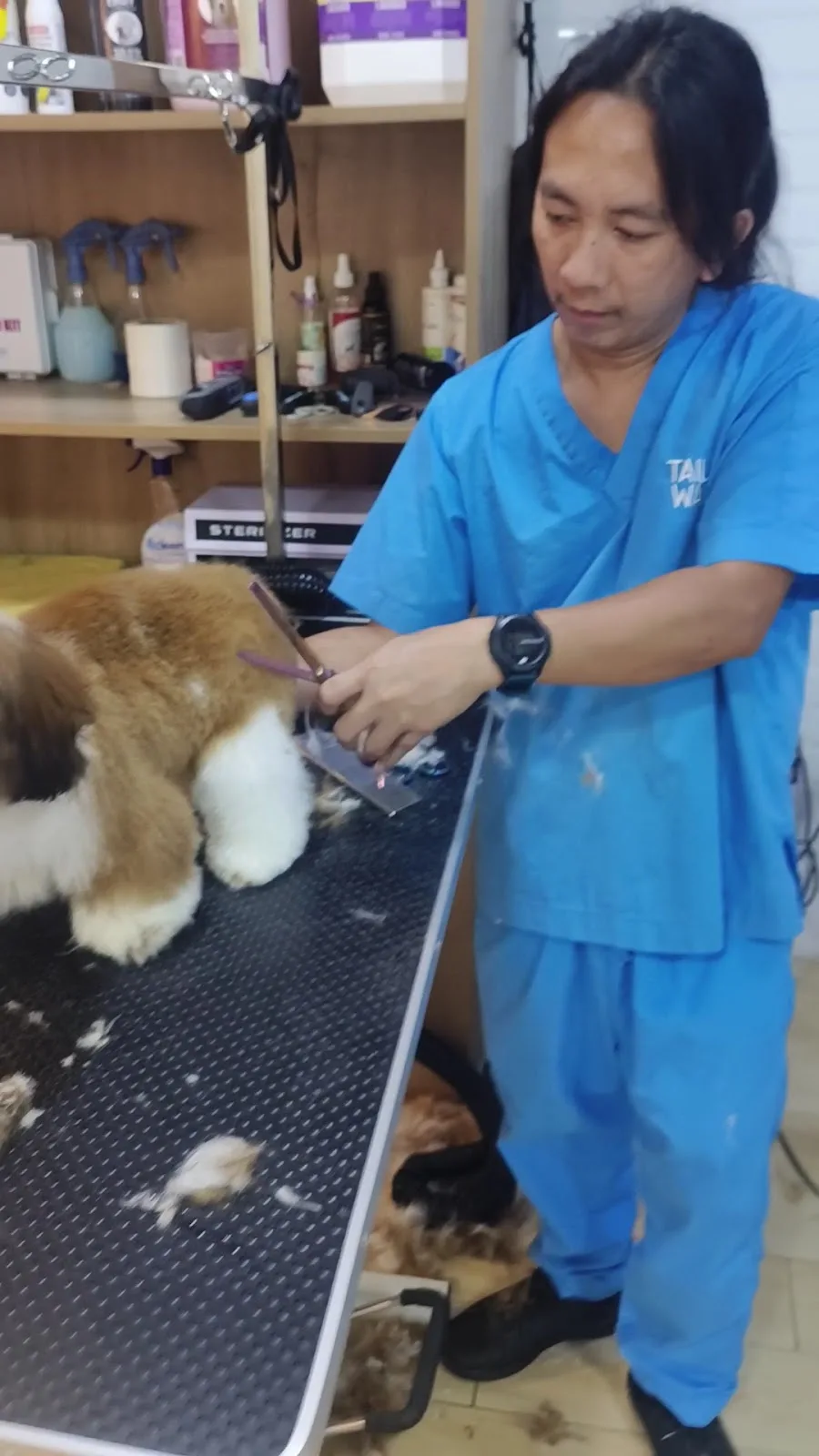 A Tail Waggin' groomer carefully scissoring a dog's coat