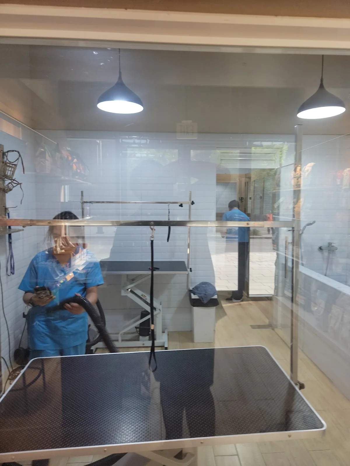 The glass-walled grooming room at Tail Waggin', visible from the shop floor