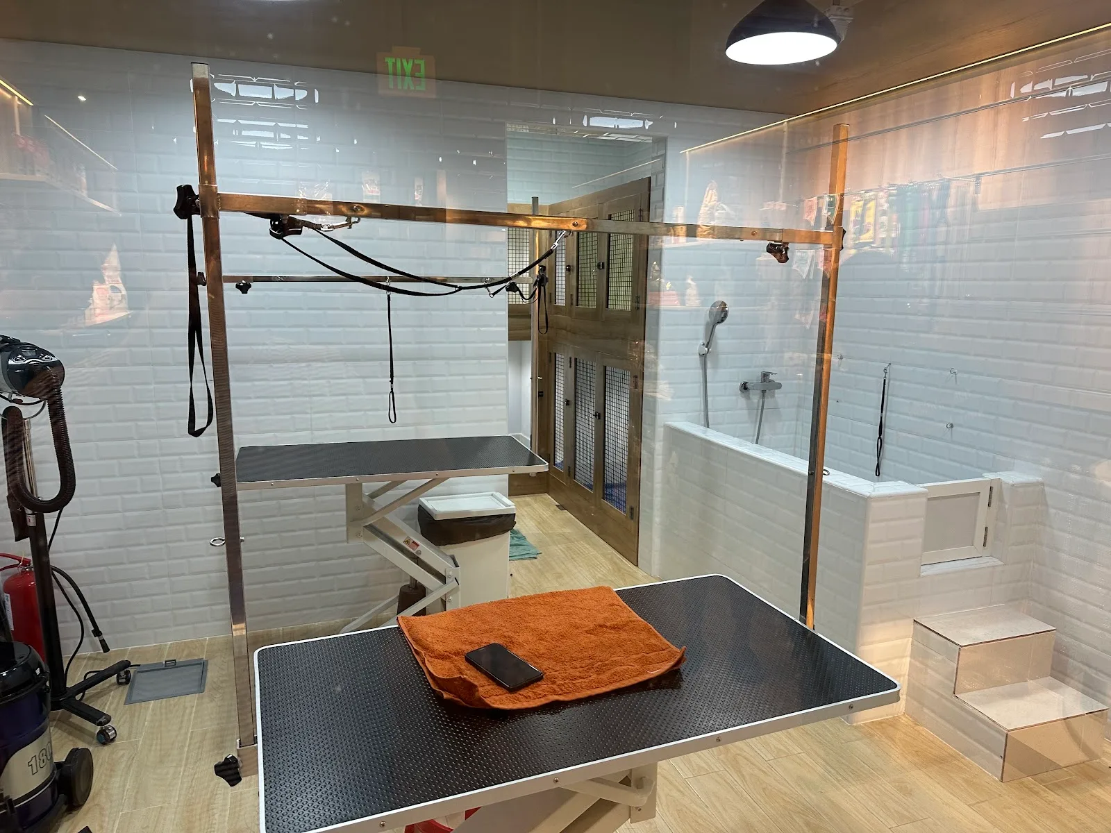 Inside the bright, glass-walled Tail Waggin' grooming studio