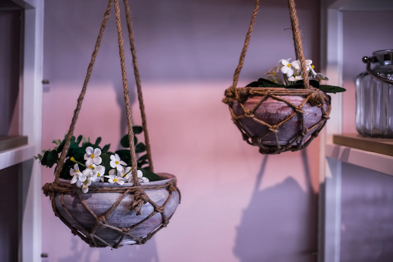 Two hanging rope planters with small white flowers inside the studio
