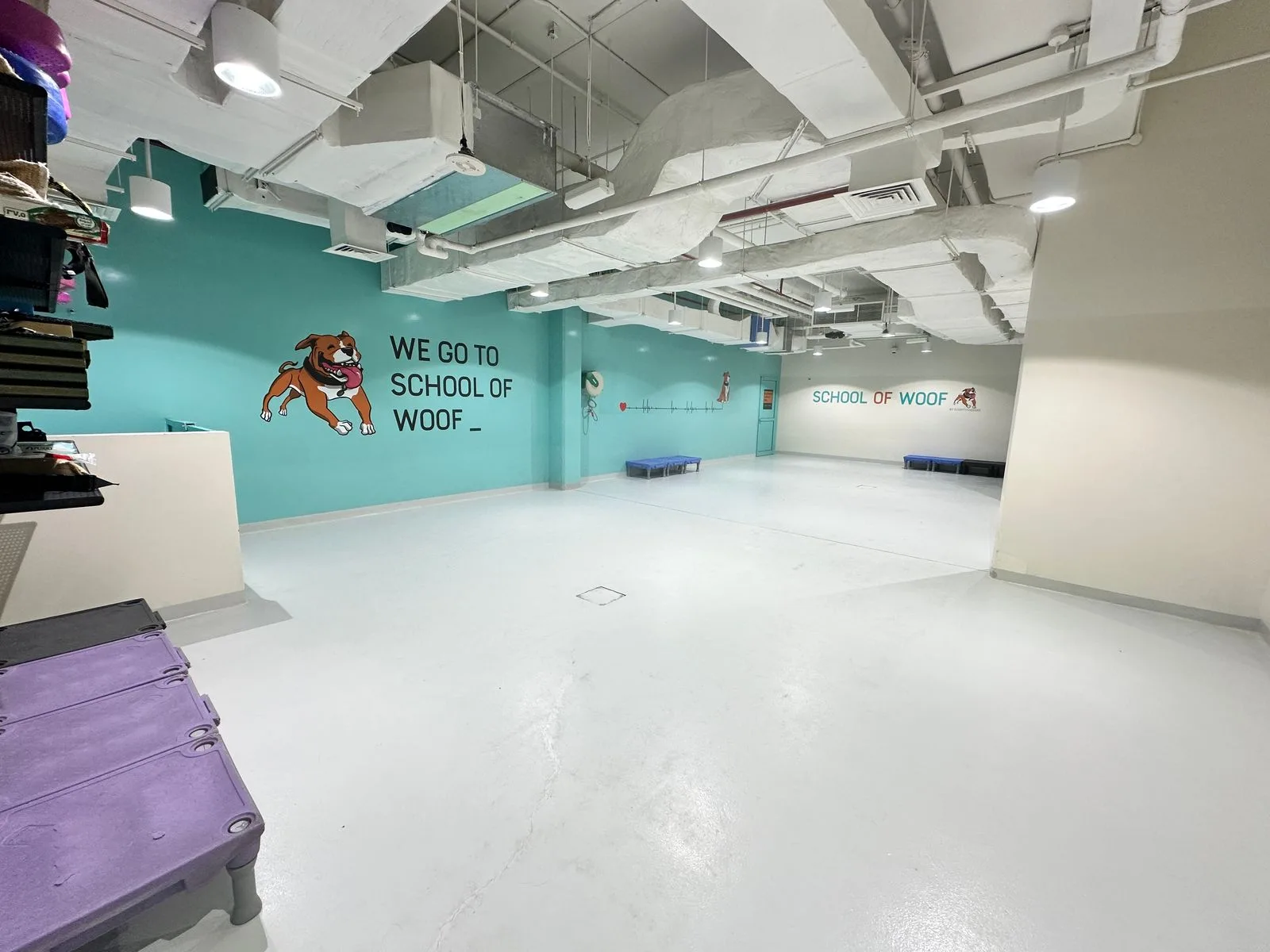 The open play hall painted teal with the We Go To School of Woof mural