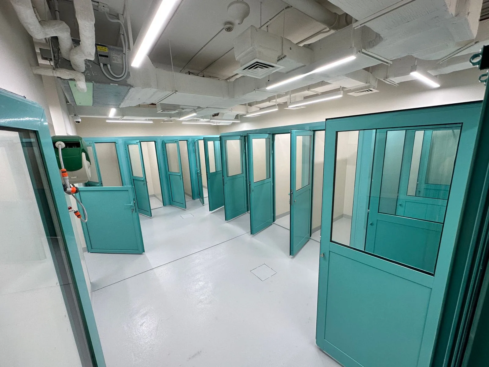A row of clean teal boarding suite doors