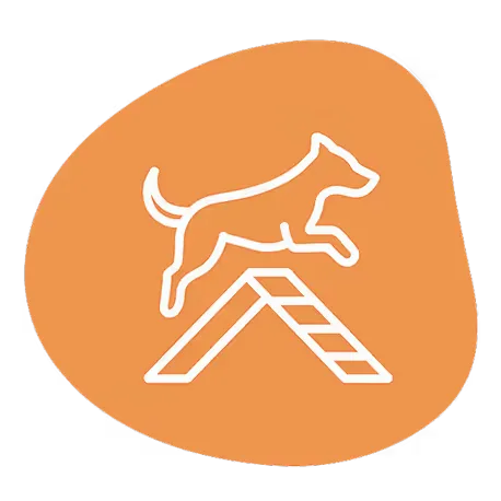 Icon of a dog jumping an agility obstacle