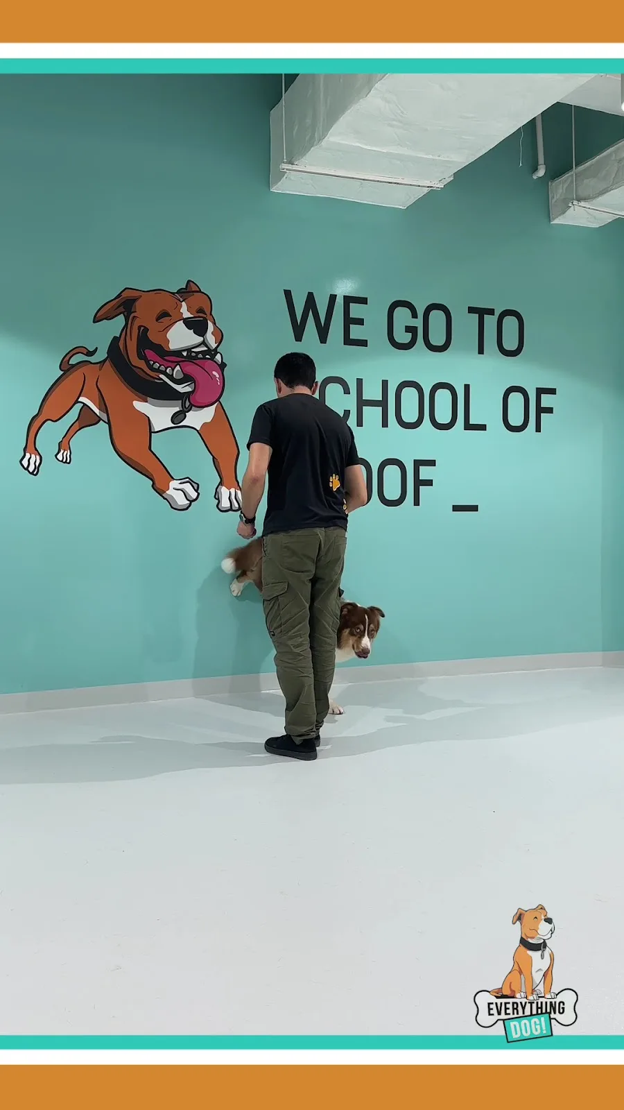 A handler working with a dog beside the School of Woof wall