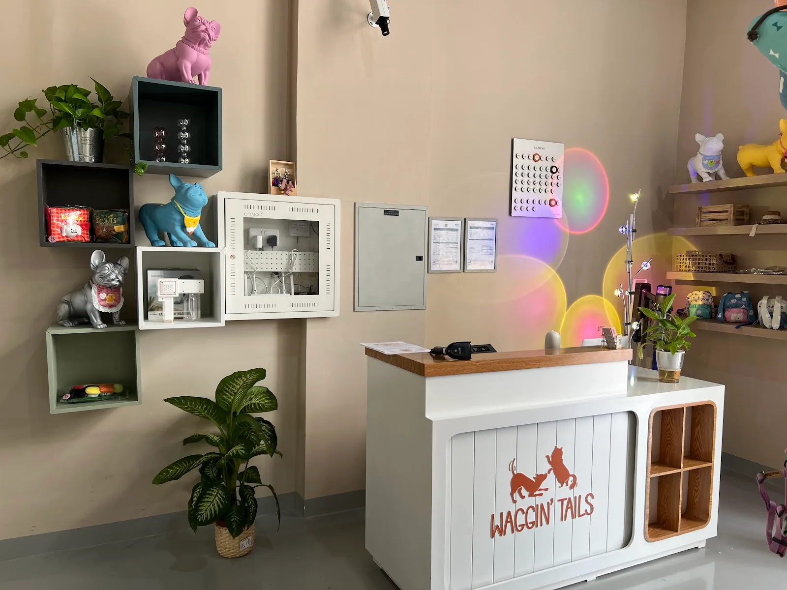 The welcoming reception and boutique inside Waggin Tails Pets Care