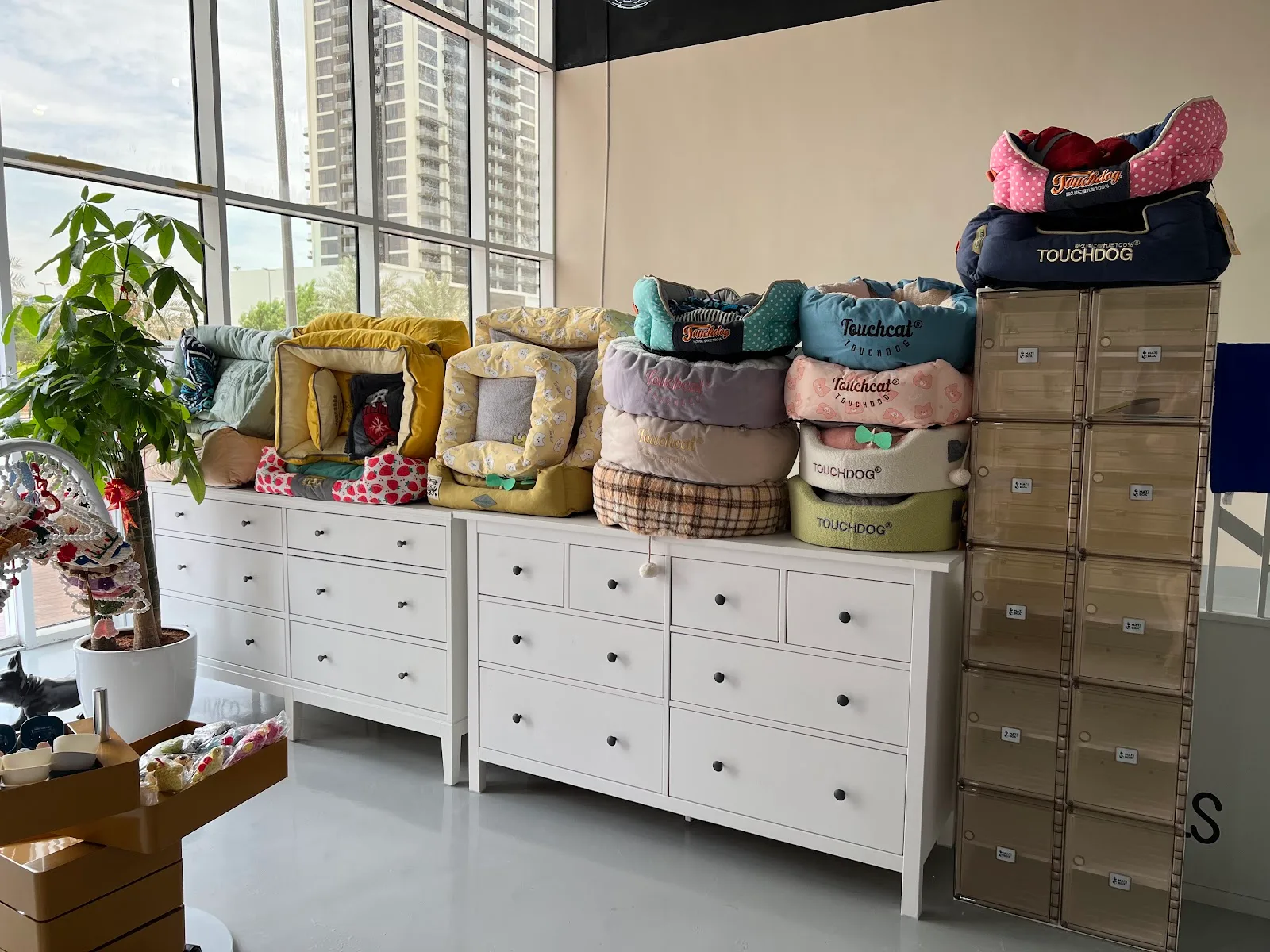 A boutique display of pet beds and accessories at Waggin Tails