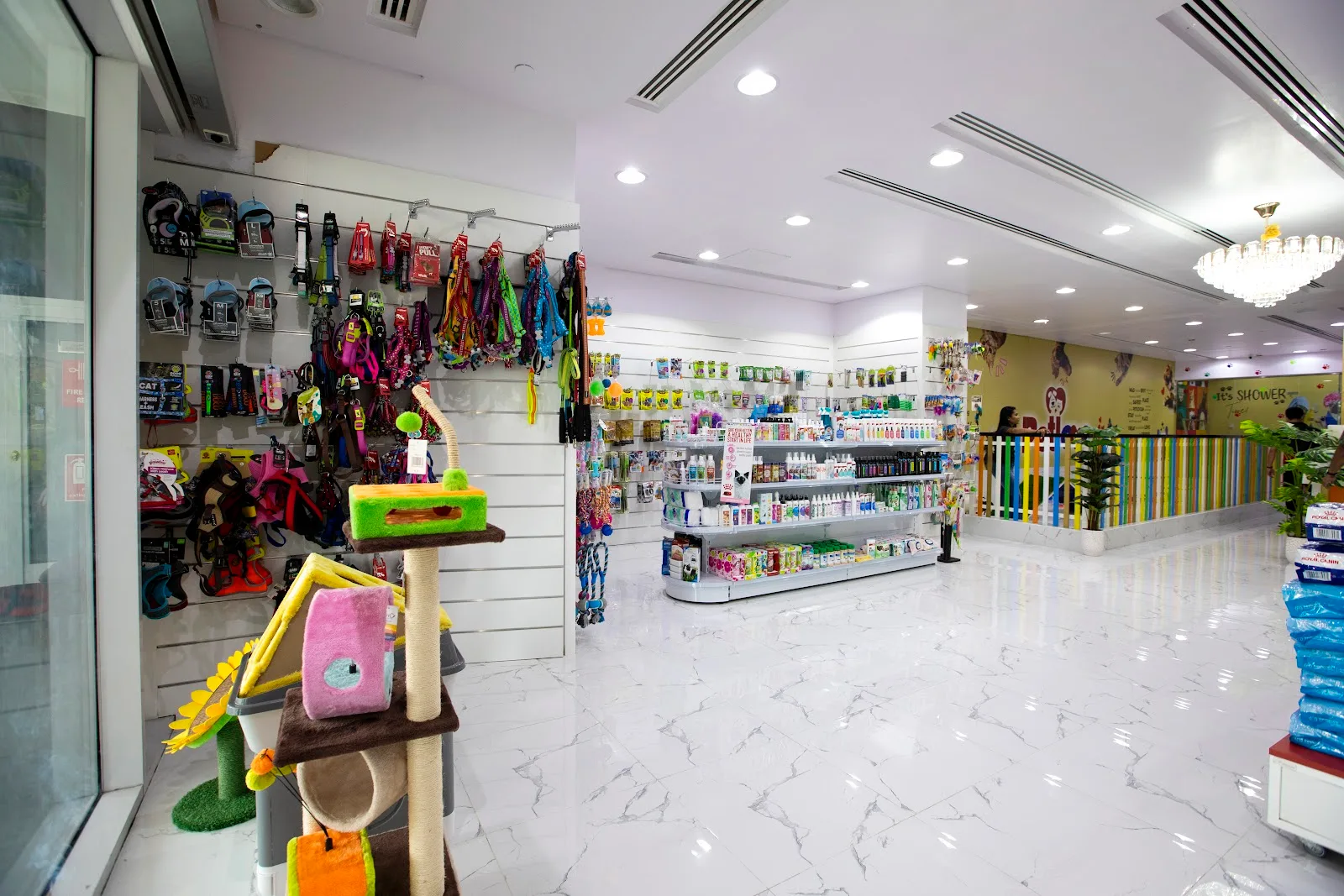 Petshop wall of colourful harnesses and leashes