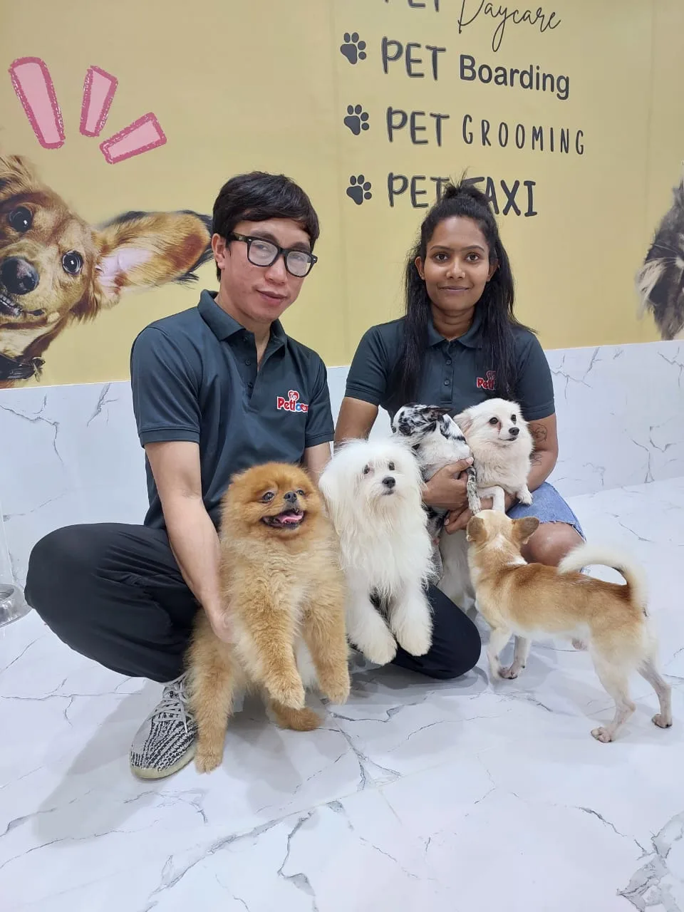 The friendly Petlove team holding several happy dogs in the shop
