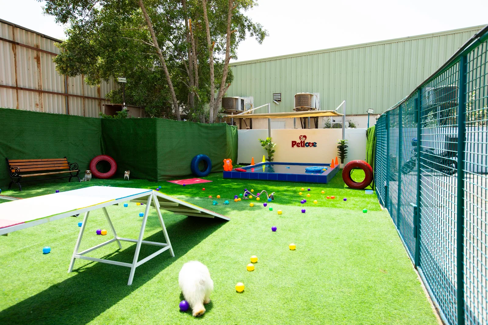 Outdoor turf play yard with agility ramp and pool at Petlove