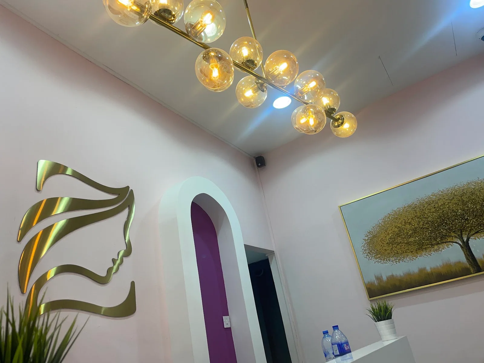 Zavier Ladies Salon reception with statement gold chandelier, arch doorway and gold tree artwork