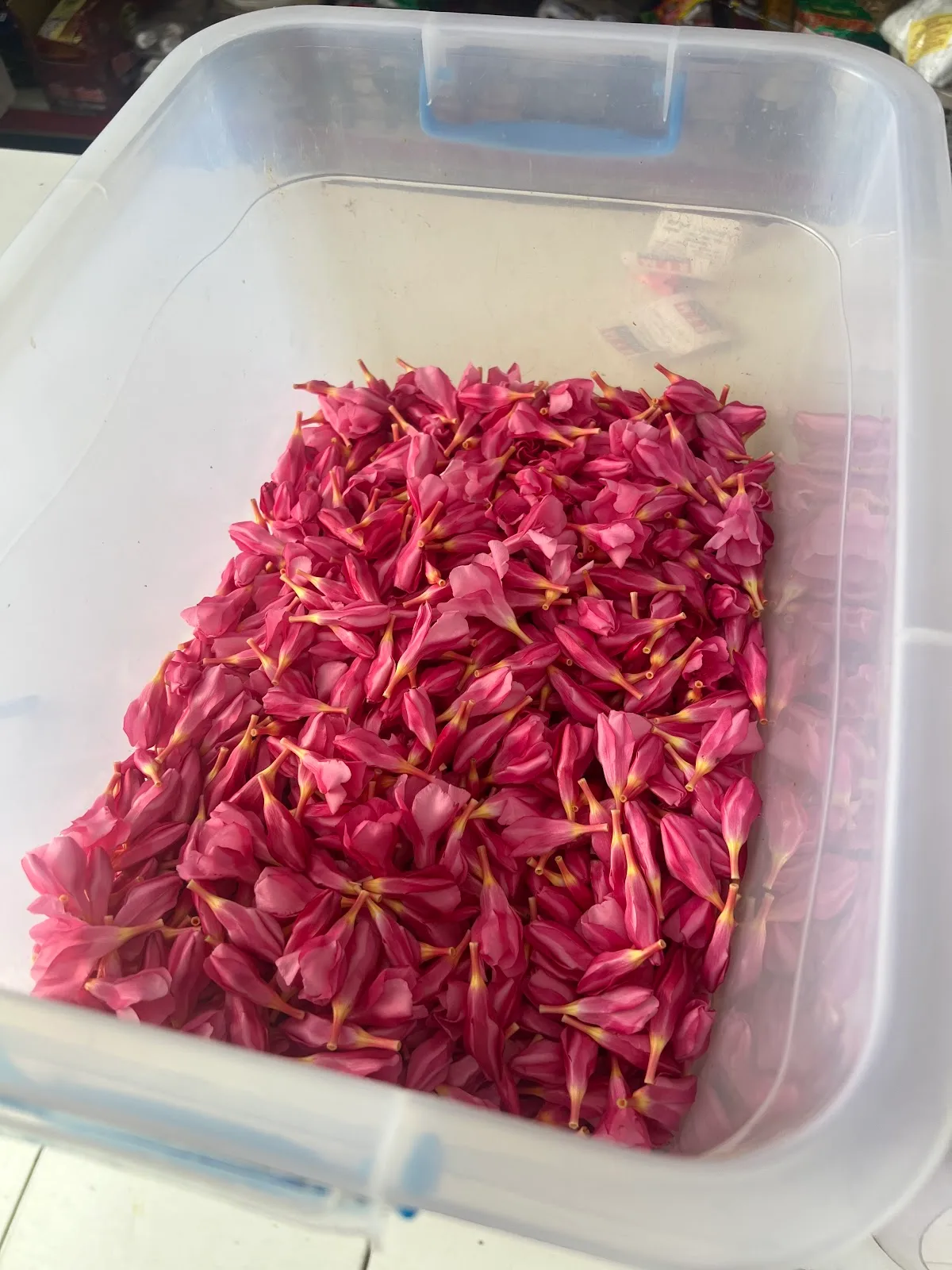 A bin of fresh pink flowers.