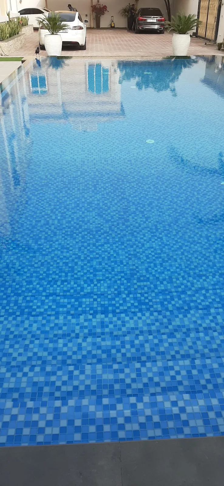 Landscaped poolside with potted palms