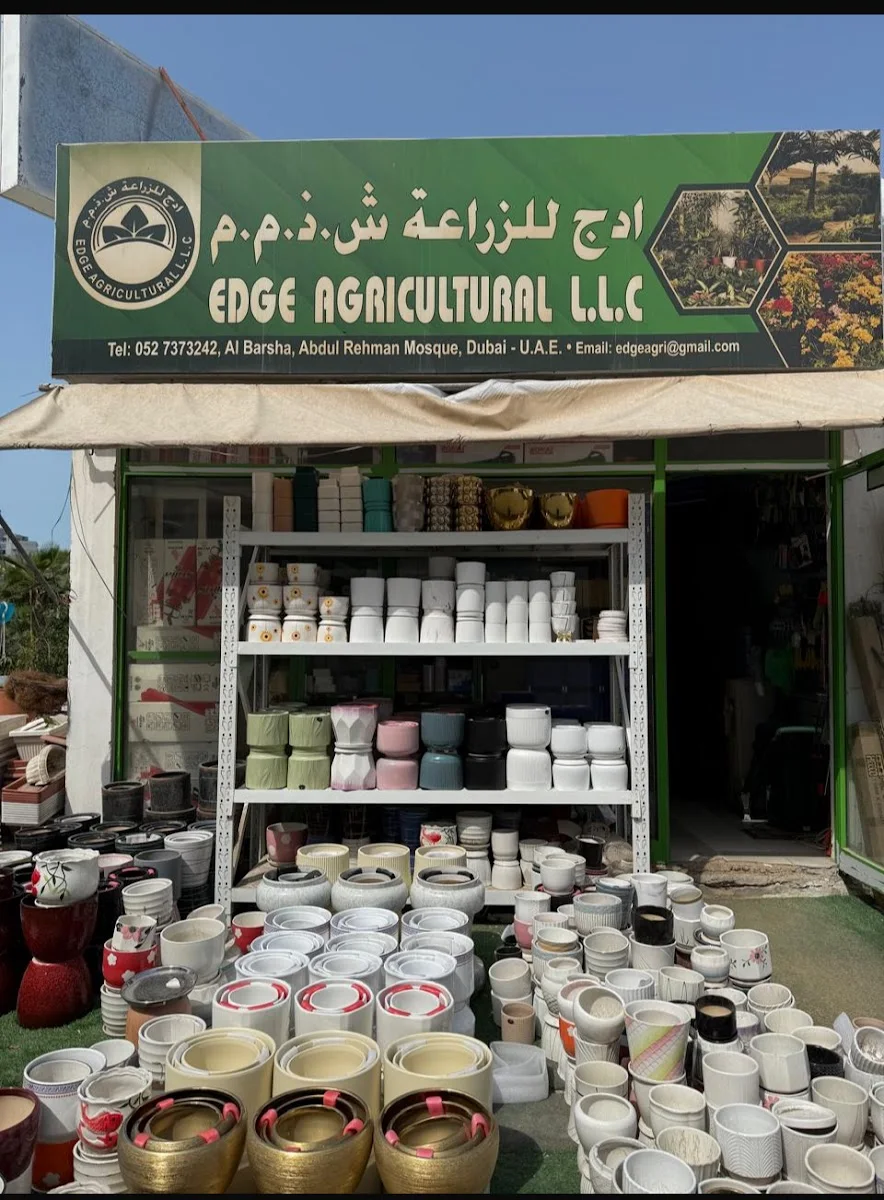 The Edge Plants Shop storefront in Al Barsha 2 with rows of pots and the Edge Agricultural signboard