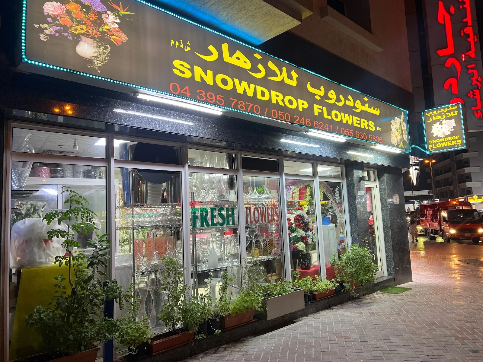 Snowdrop Flowers shopfront lit up at night on Al Barsha First, Dubai