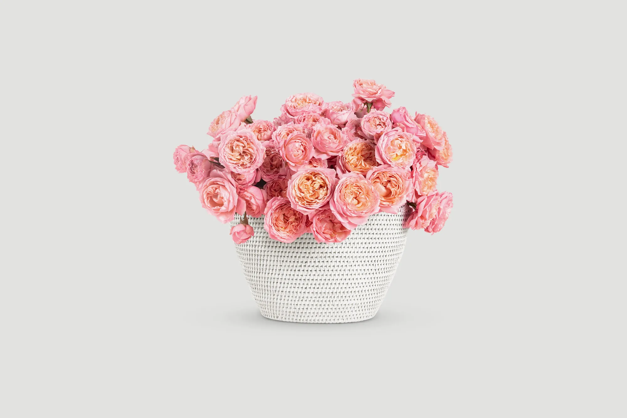 Maison Rosée Flower Box