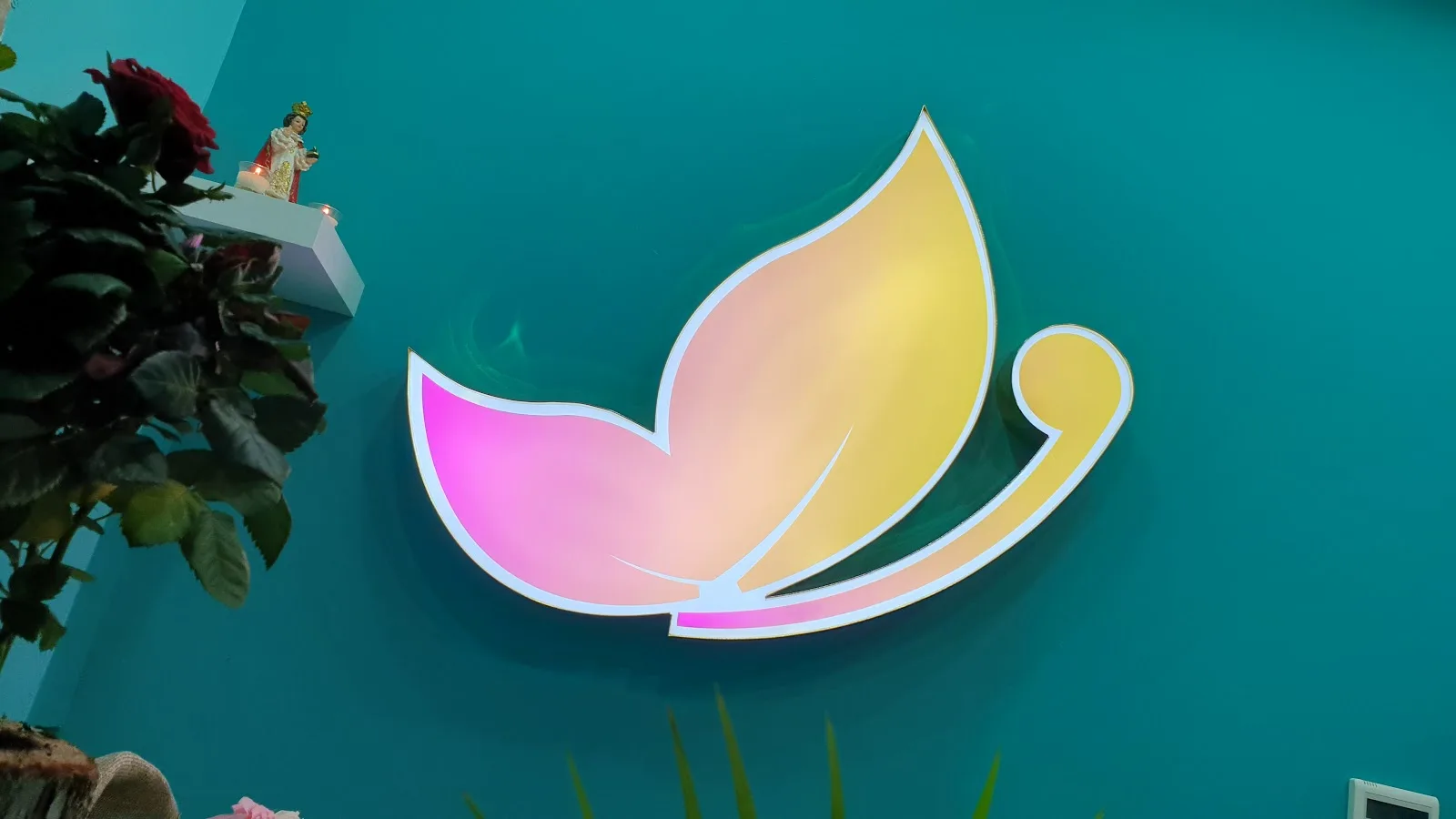 Nouveau Beauty Salon butterfly emblem on the studio wall