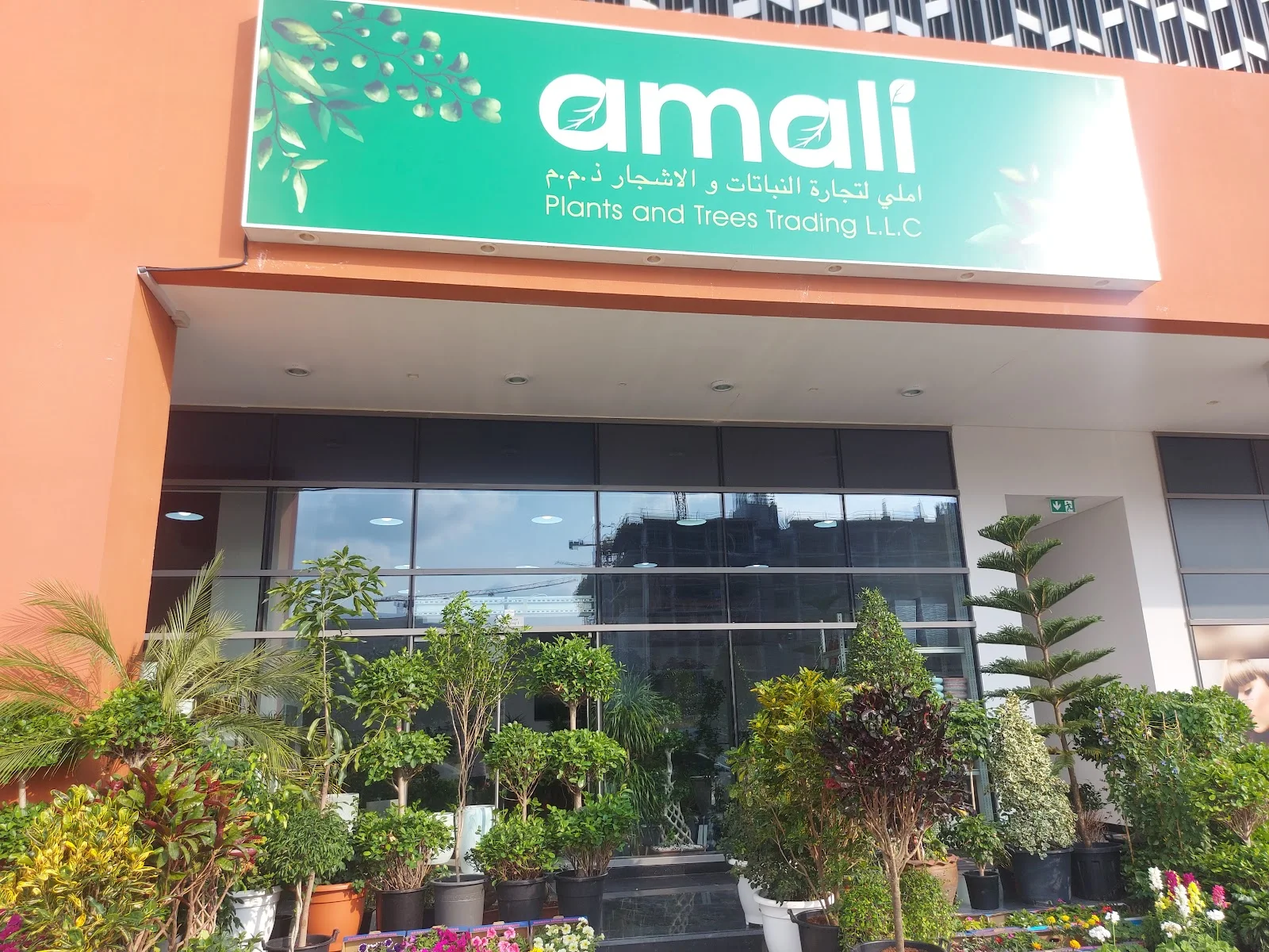 Amali Plants and Trees Trading storefront in Al Barsha South