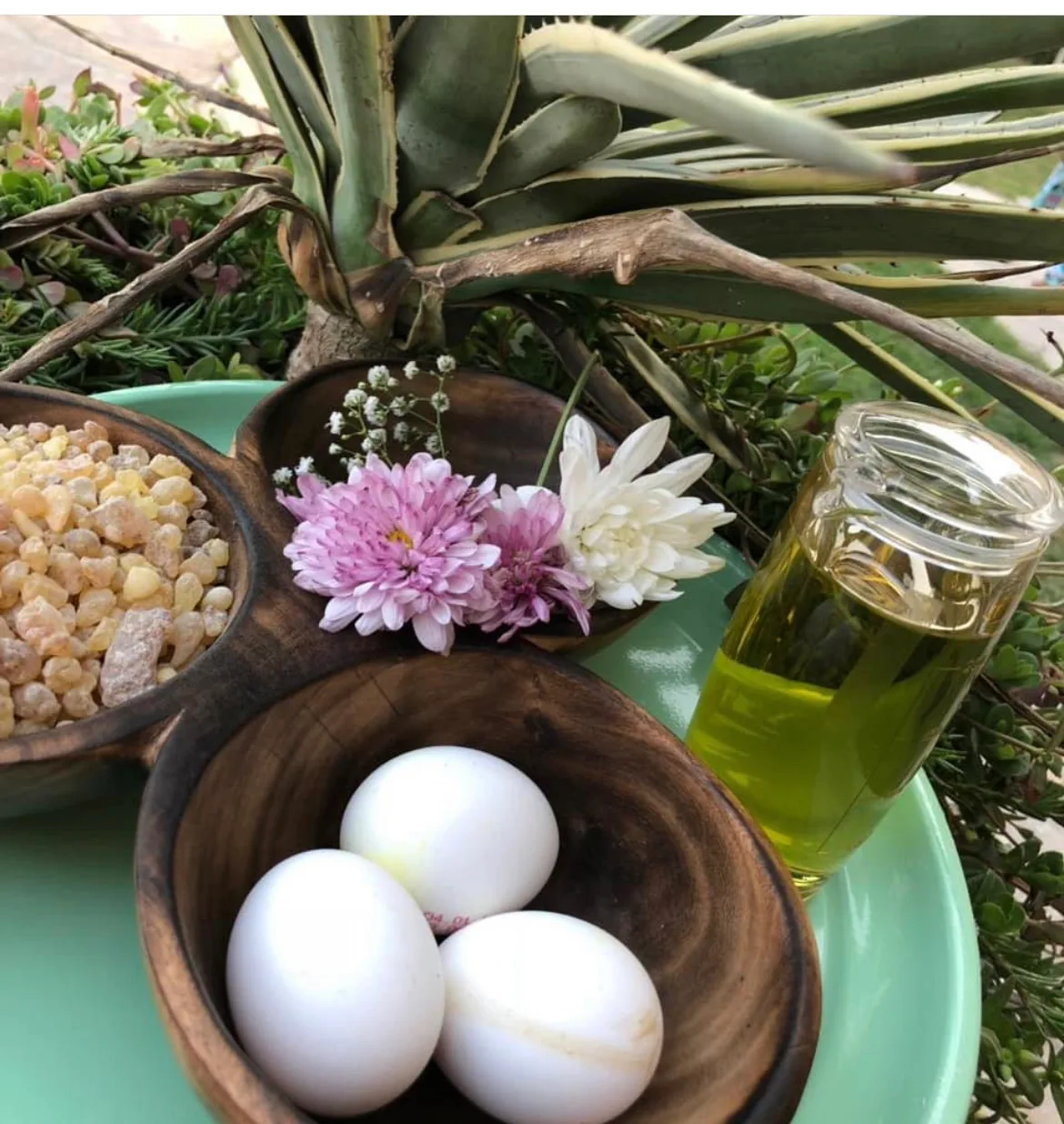 Natural beauty ingredients including oils, eggs and botanicals on a green tray
