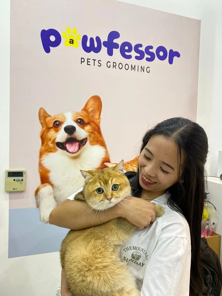 An owner holding a cat by the Pawfessor studio wall