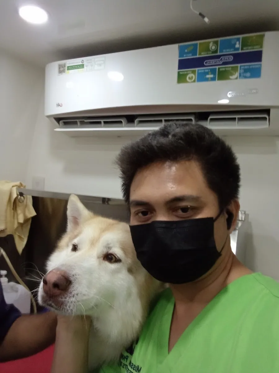 A groomer with a calm husky
