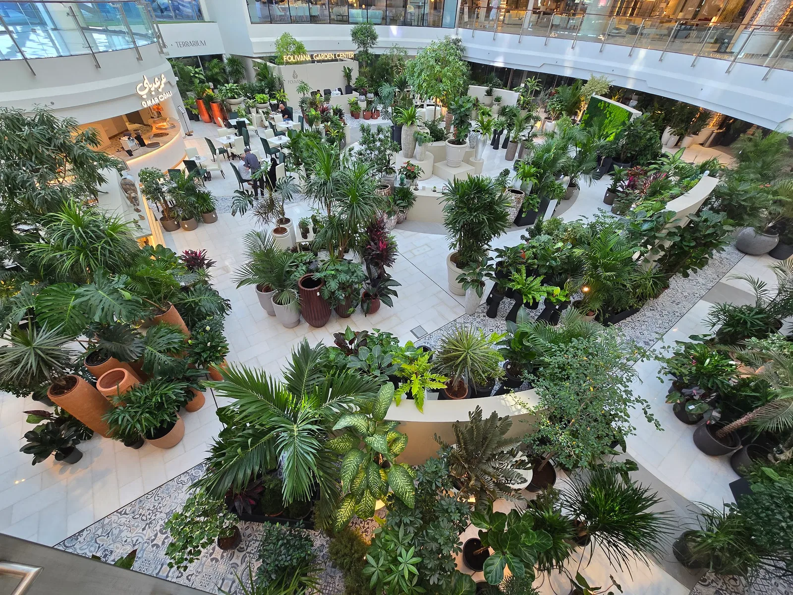 Aerial view of the Folivana garden atrium with winding paths of plants