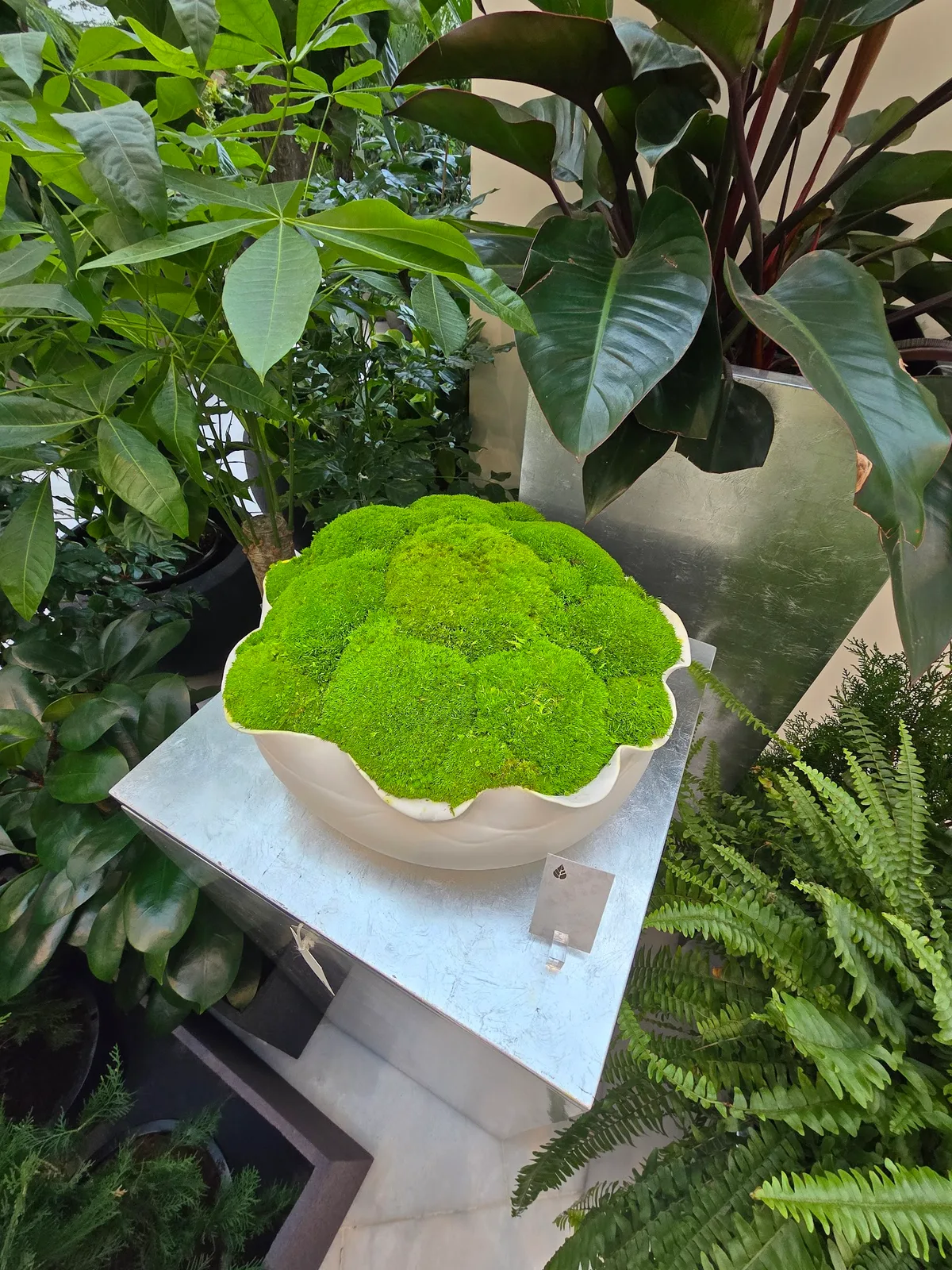 A rounded bowl planter topped with bright green preserved moss at Folivana