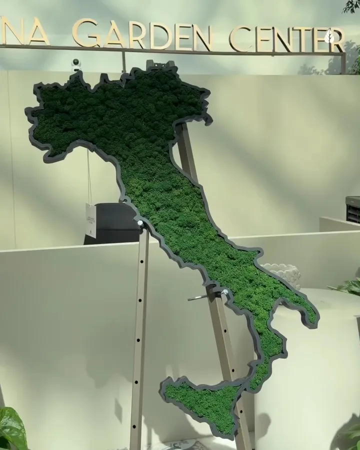 Preserved green moss artwork shaped like the map of Italy, framed at Folivana