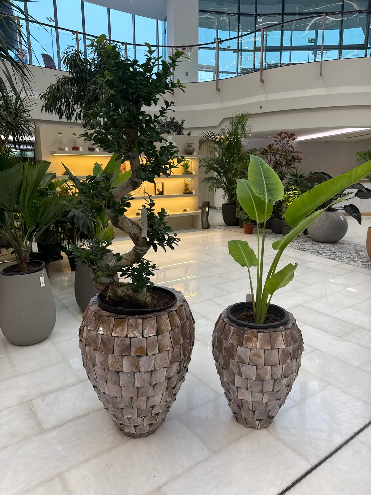Two sculptural shell-mosaic planters holding a bonsai and a banana plant at Folivana