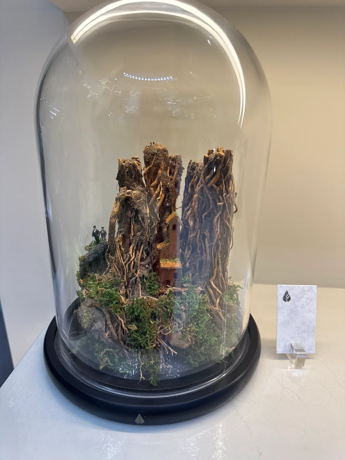 Glass dome terrarium with driftwood roots and a tiny house at Folivana