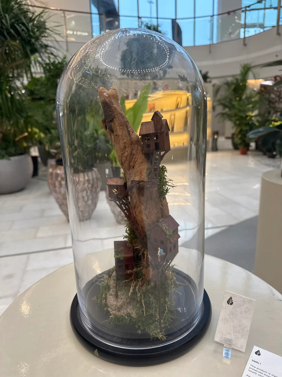 Glass dome terrarium containing a miniature wooden treehouse on driftwood at Folivana