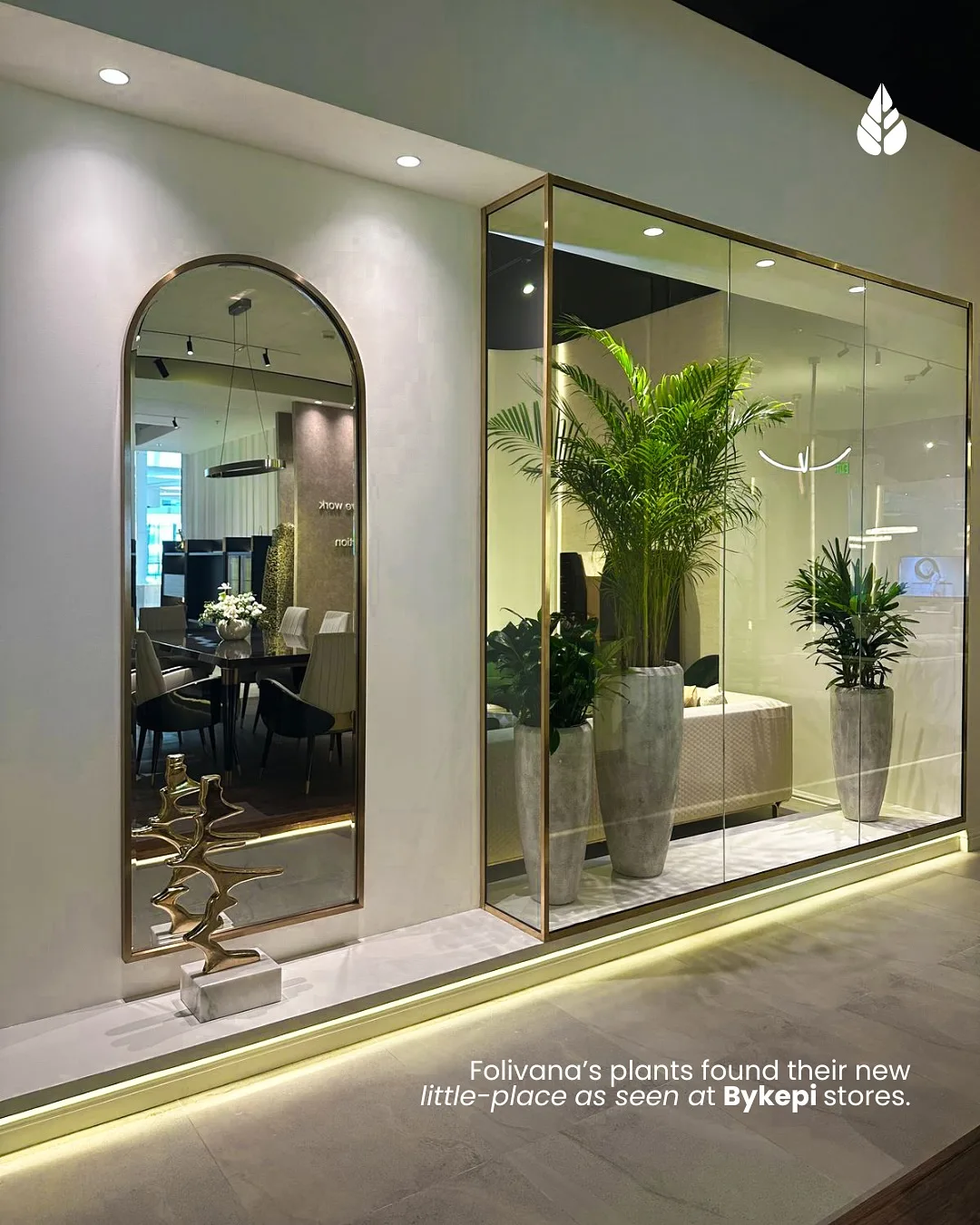 Tall potted plants styled in a lit retail window display by Folivana