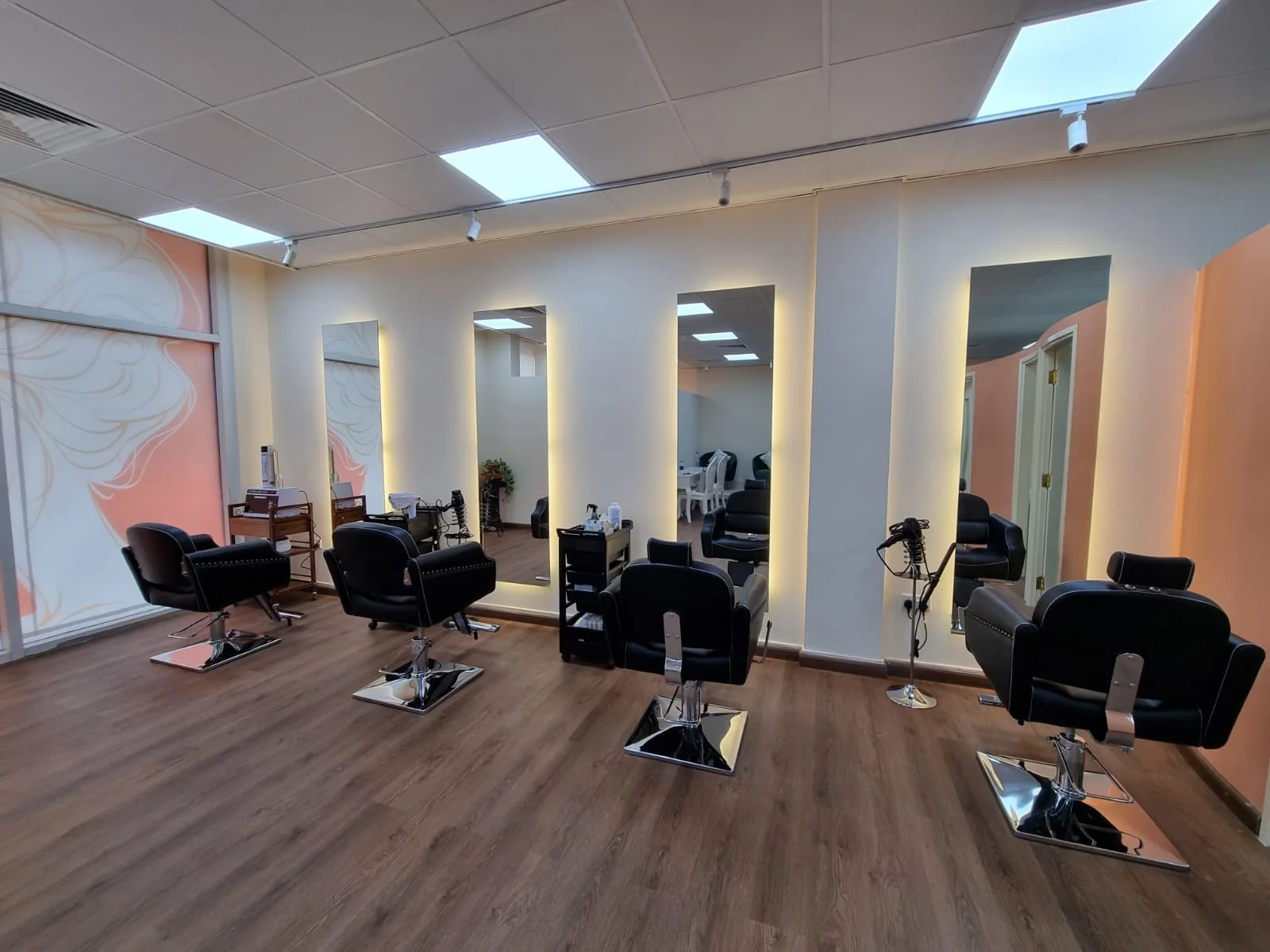 Styling chairs and mirrors at The Style Hub Beauty Salon, with the salon's signature peach hair mural on the wall