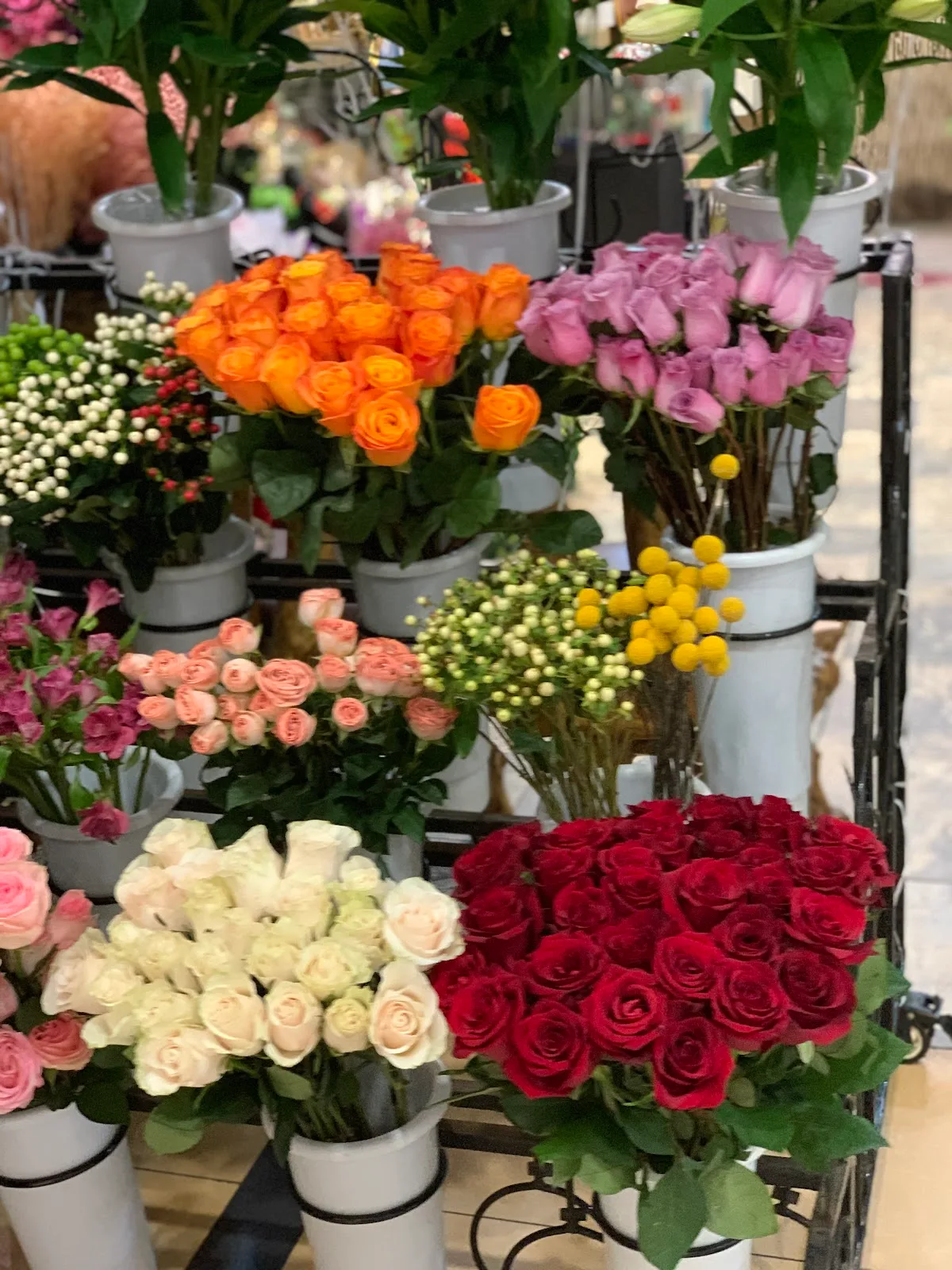 Buckets of fresh roses in red, pink, orange and white