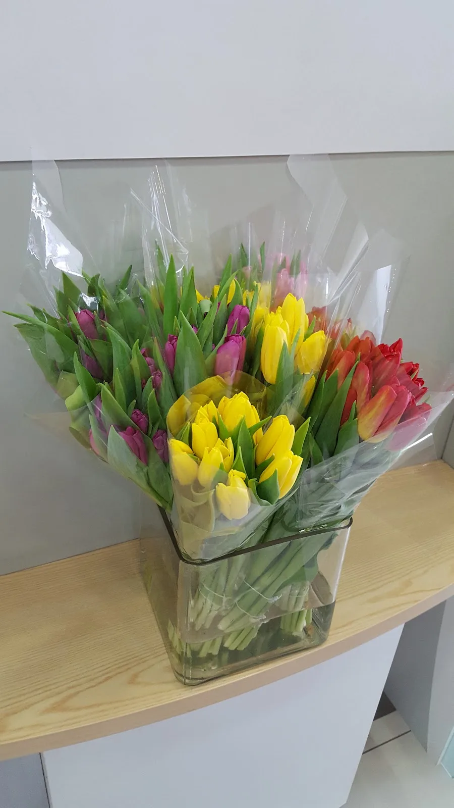 Bright mixed tulips in a glass vase